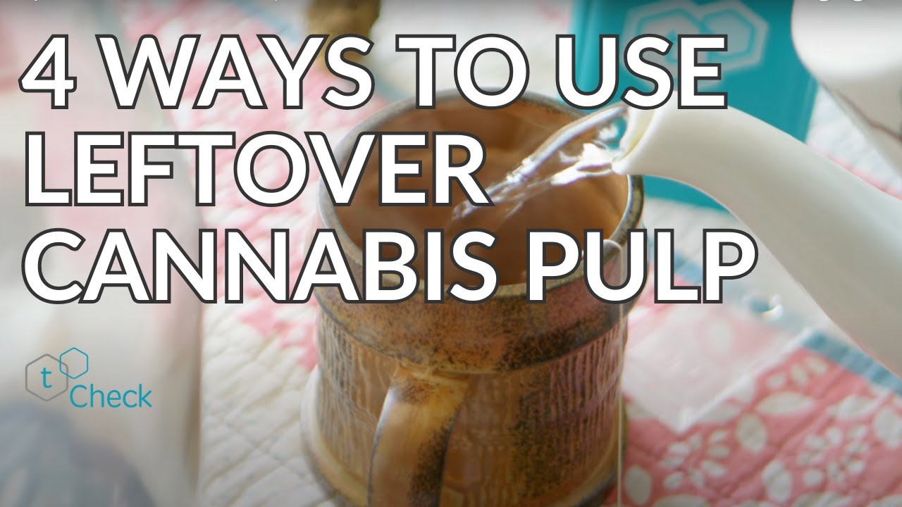 4 Ways to Use Leftover Cannabis Pulp | tCheck Tutorials