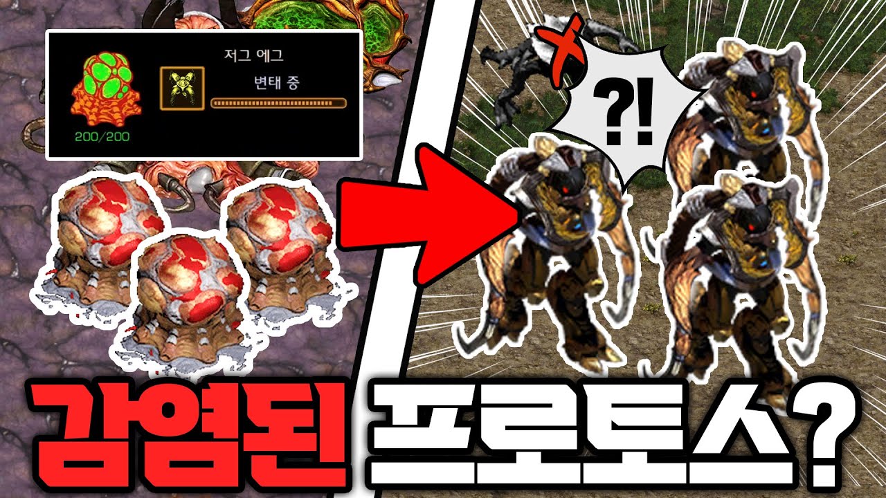 저로토스 실화??? 