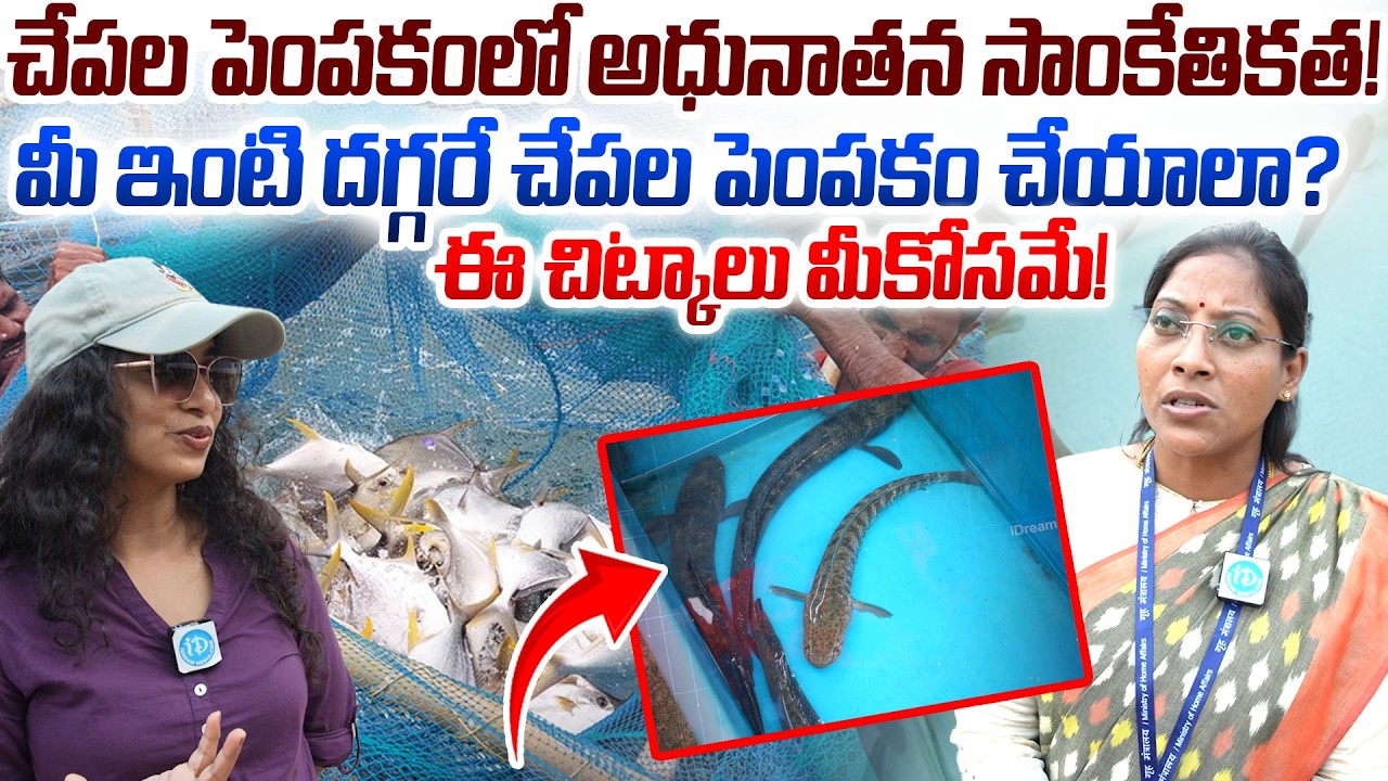 చేపల పెంపకంలో అధునాతన సాంకేతికత! |Varganti Gayathri. IIS Media & Communication Officer, PIB | iDream