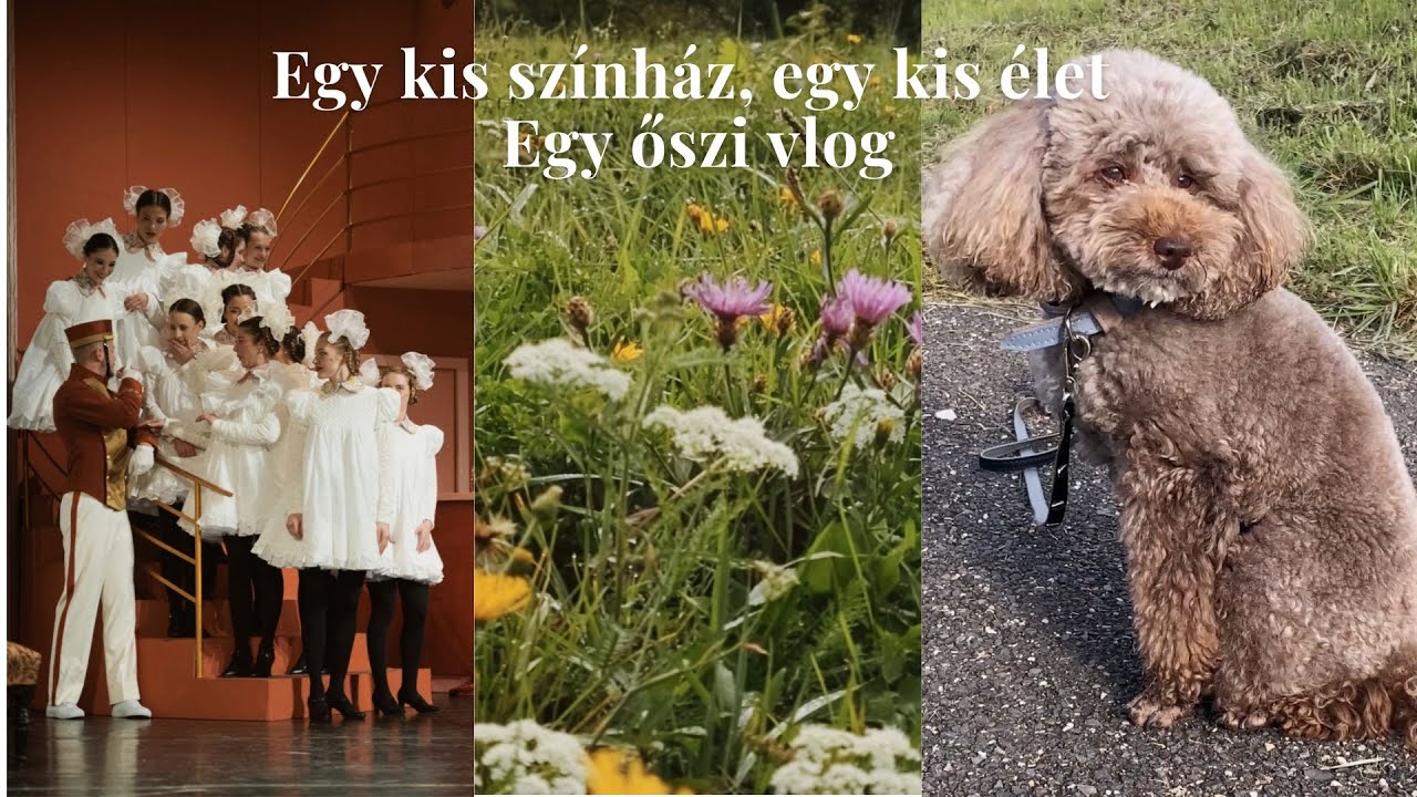 Egy kis színház, egy kis élet – egy őszi vlog 🍂