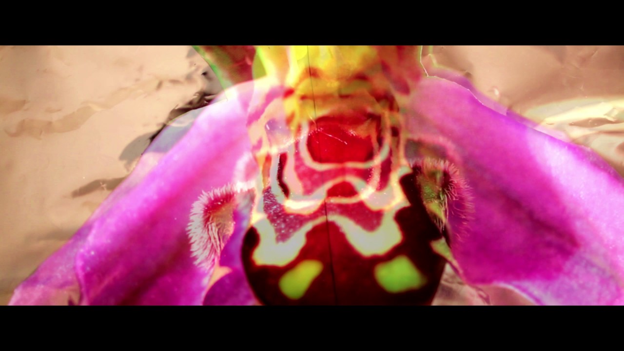 100 Days of May - PMDS (official video)