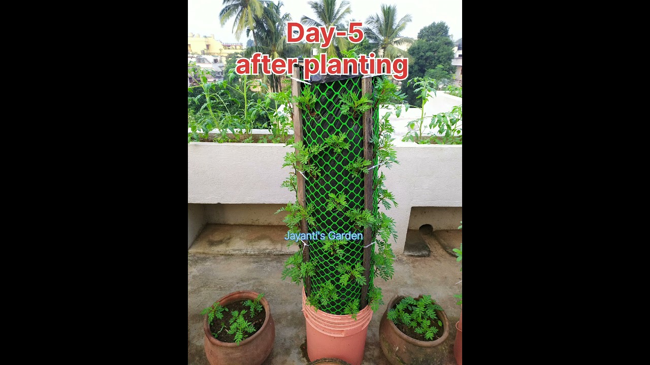 Flower Tower decoration idea | Home & Garden decoration ideas #shorts #trending #viral #diy #youtube