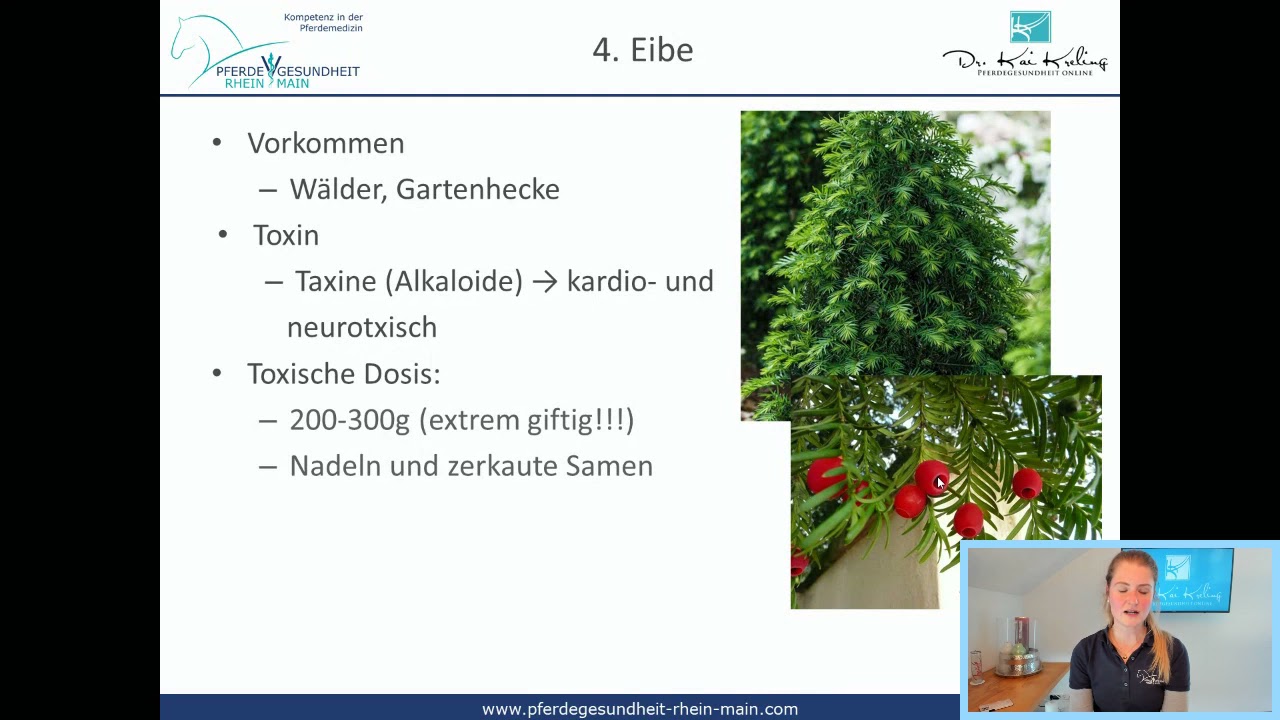 Giftpflanzen
