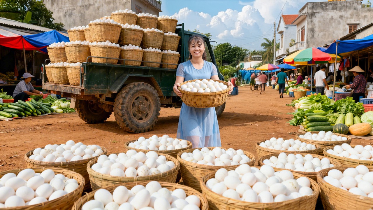 Poultry Farm in the Village | Harvesting Many Eggs on the Duck Farm, Loading Truck to Sell