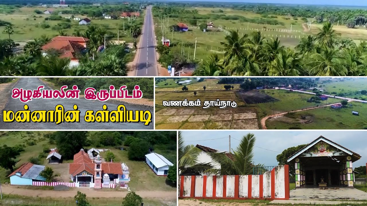 தொன்மங்களின் நிலம் மன்னாரின் கள்ளியடி | Kalliyadi | Vanakkam Thainadu | IBC