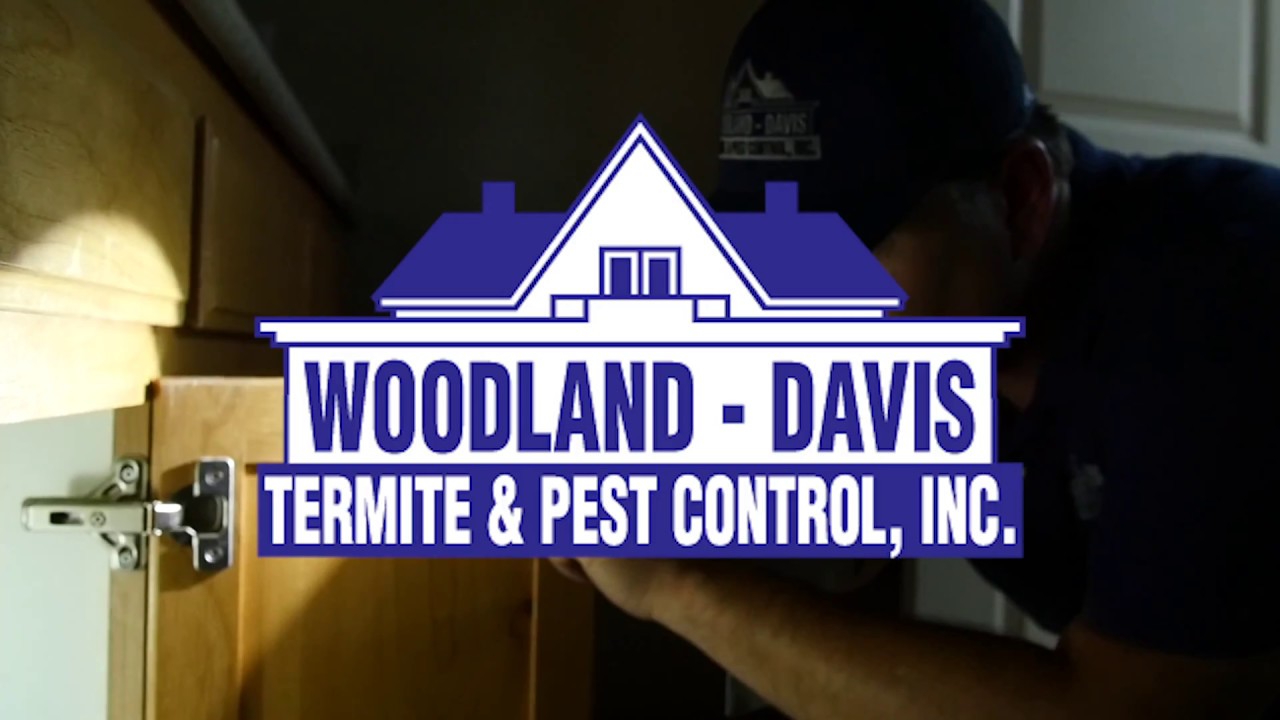 The Local Guys Termite and Pest Control Woodland Inspection Service