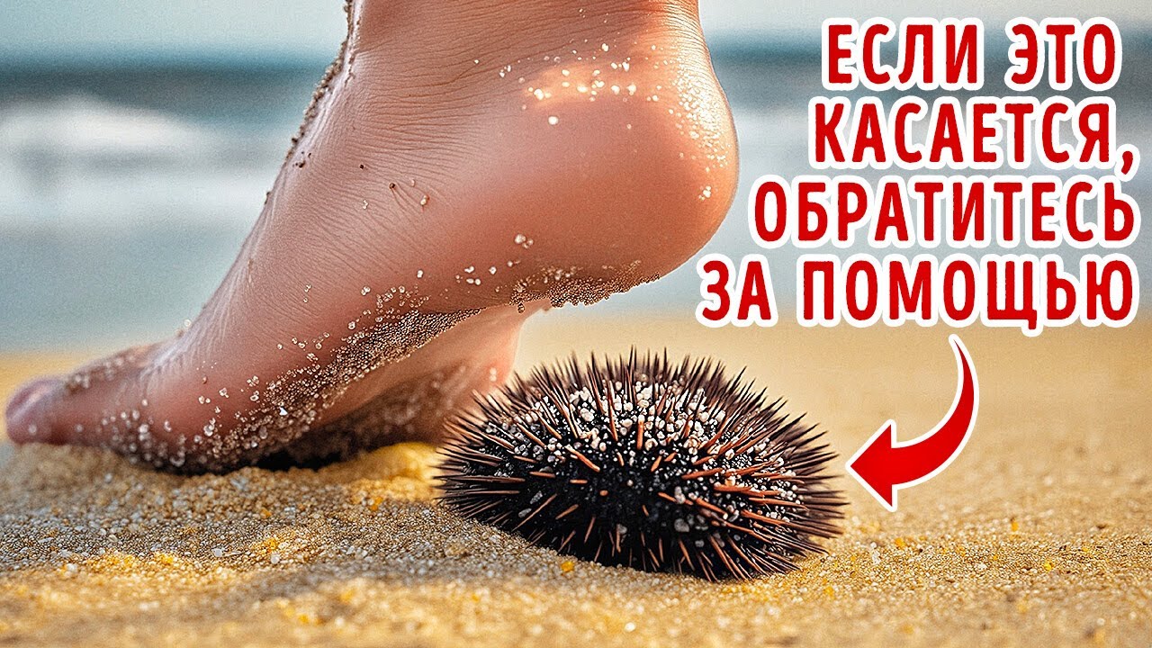 🌊 Тайны Глубин: Необычные Факты о Морских Существах, Которые Скрываются Под Водой 🐙😱
