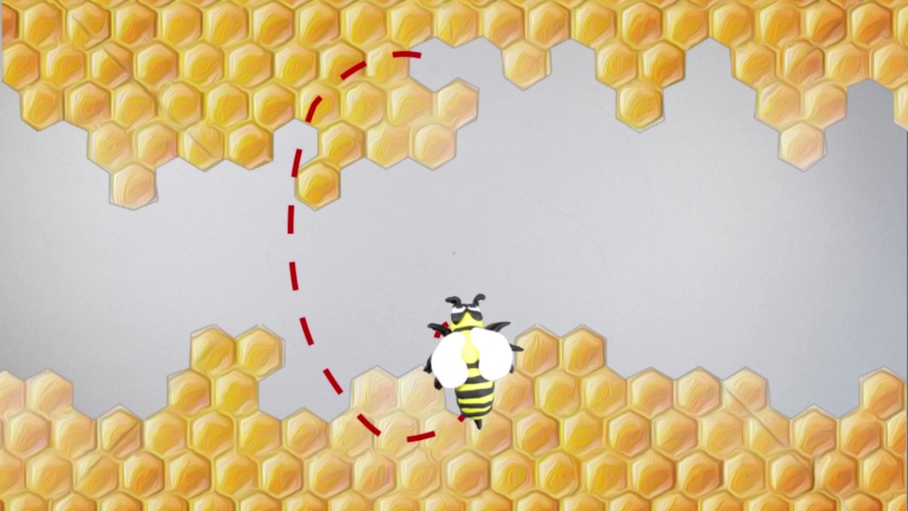Erklärung Bienensprache