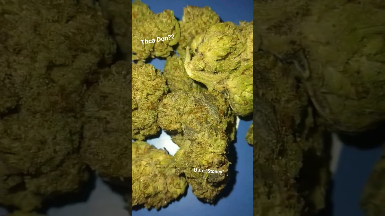 THCA DON??Thcasmallbuds MYSTERY Pack #thcadon #thcasmallbuds #mystery #whatisthis