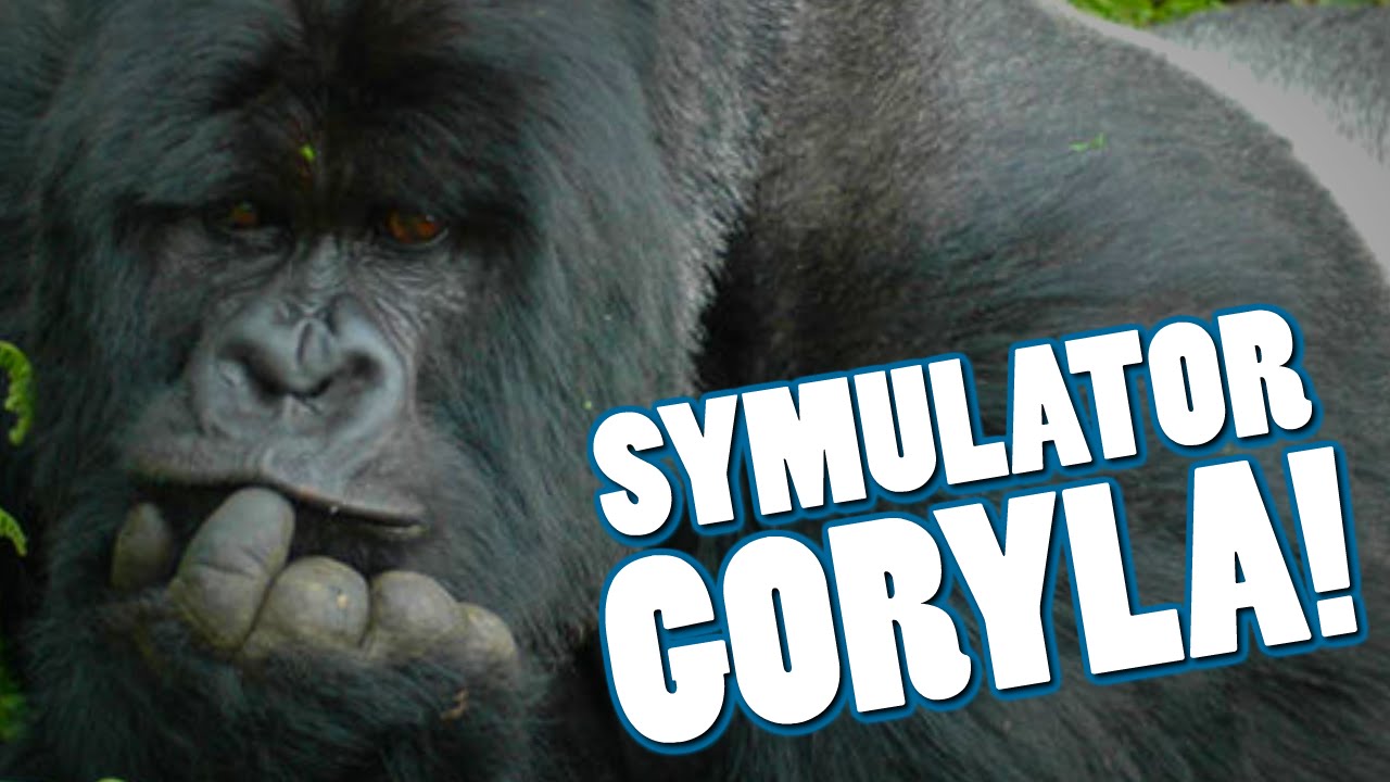 Symulator Goryla!
