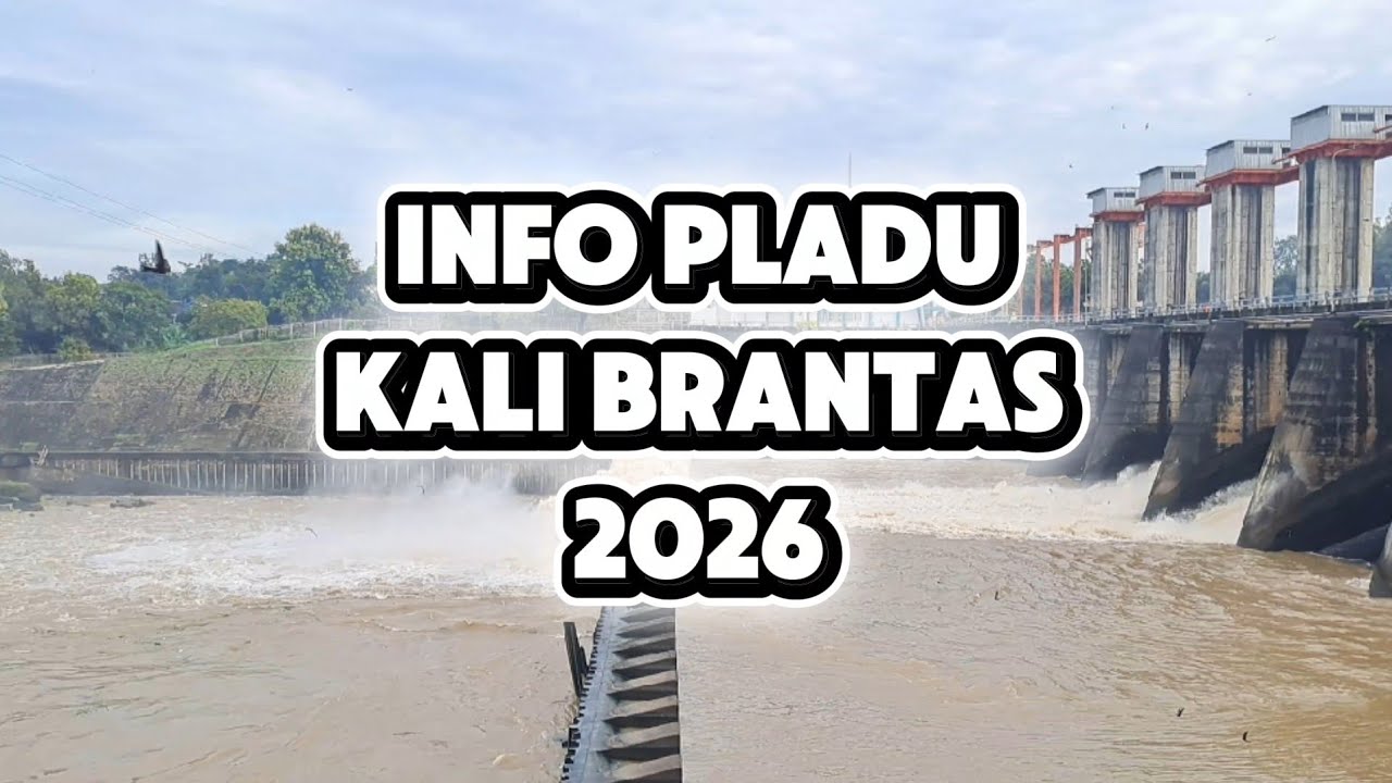 Info Pladu Kali Brantas 2026!