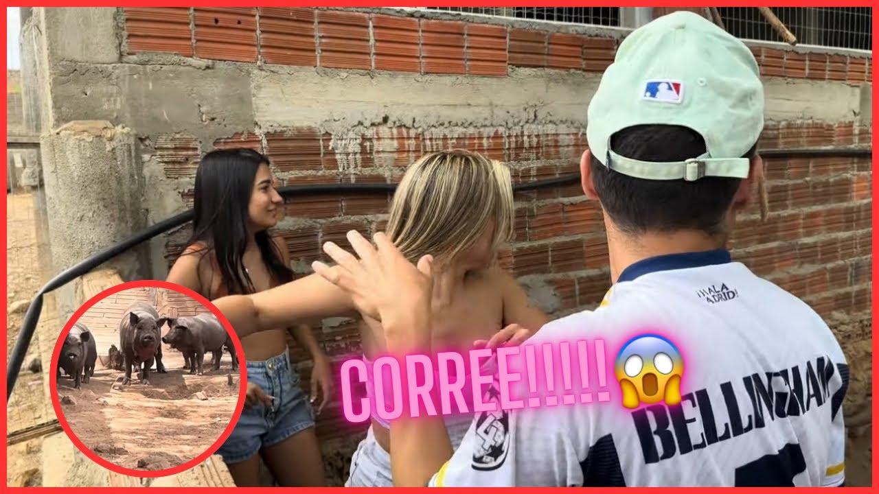 LEVEI MICHEL PRA CONHECER OS PORCOS DA CHÁCARA COMÉDIA SELVAGEM