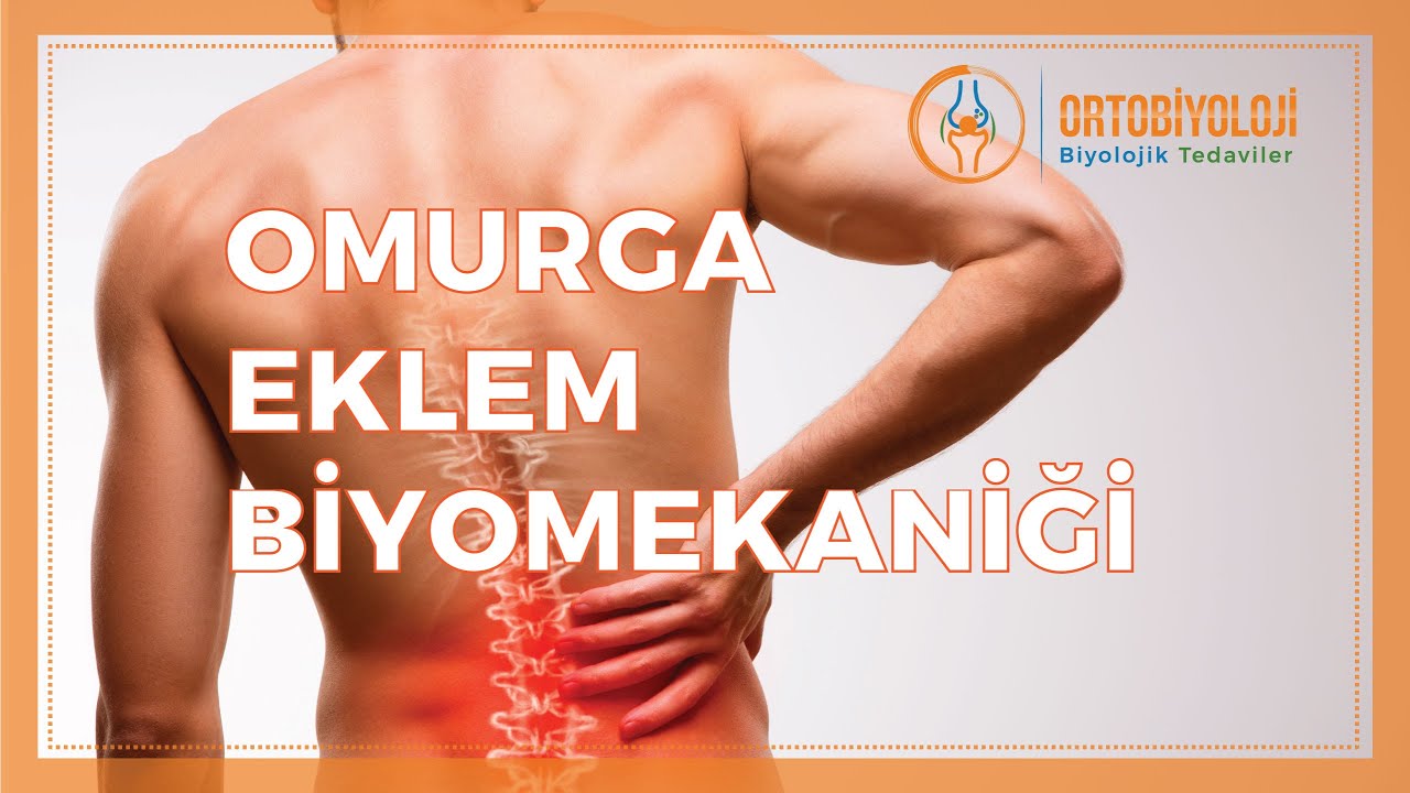 OMURGA EKLEMİNİN BİYOMEKANİK YAPISI