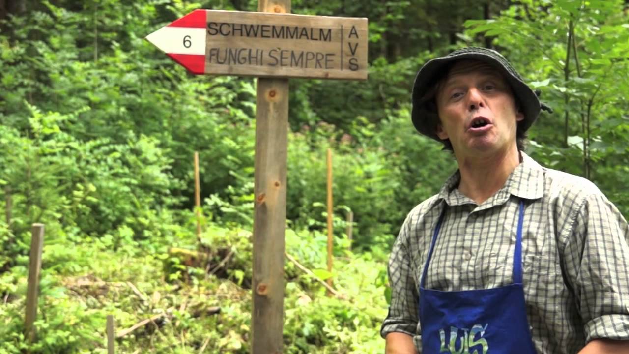 1 Wegweiser