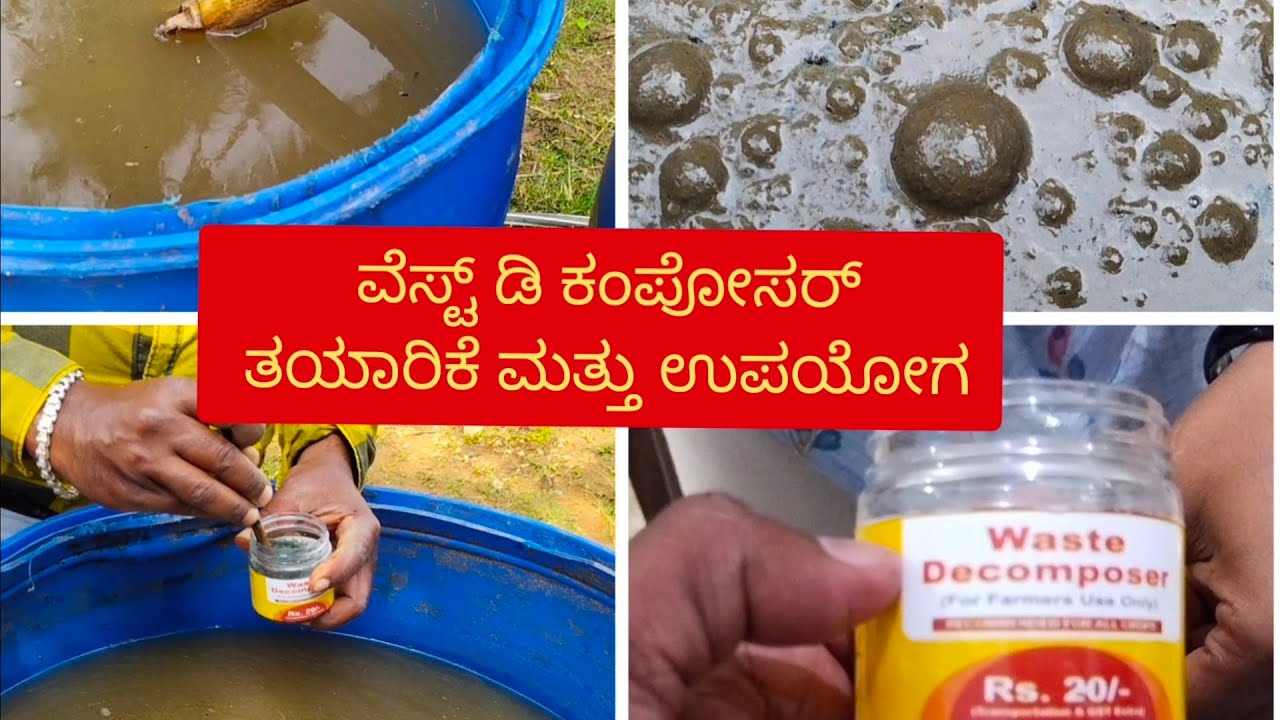 Organic farming | Preperation of waste decomposer | ವೇಸ್ಟ್ ಡಿಕಂಪೋಸರ್ |