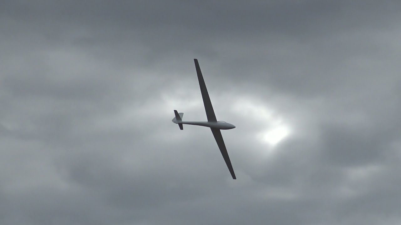 Standard Libelle by FW-Models in slope soaring