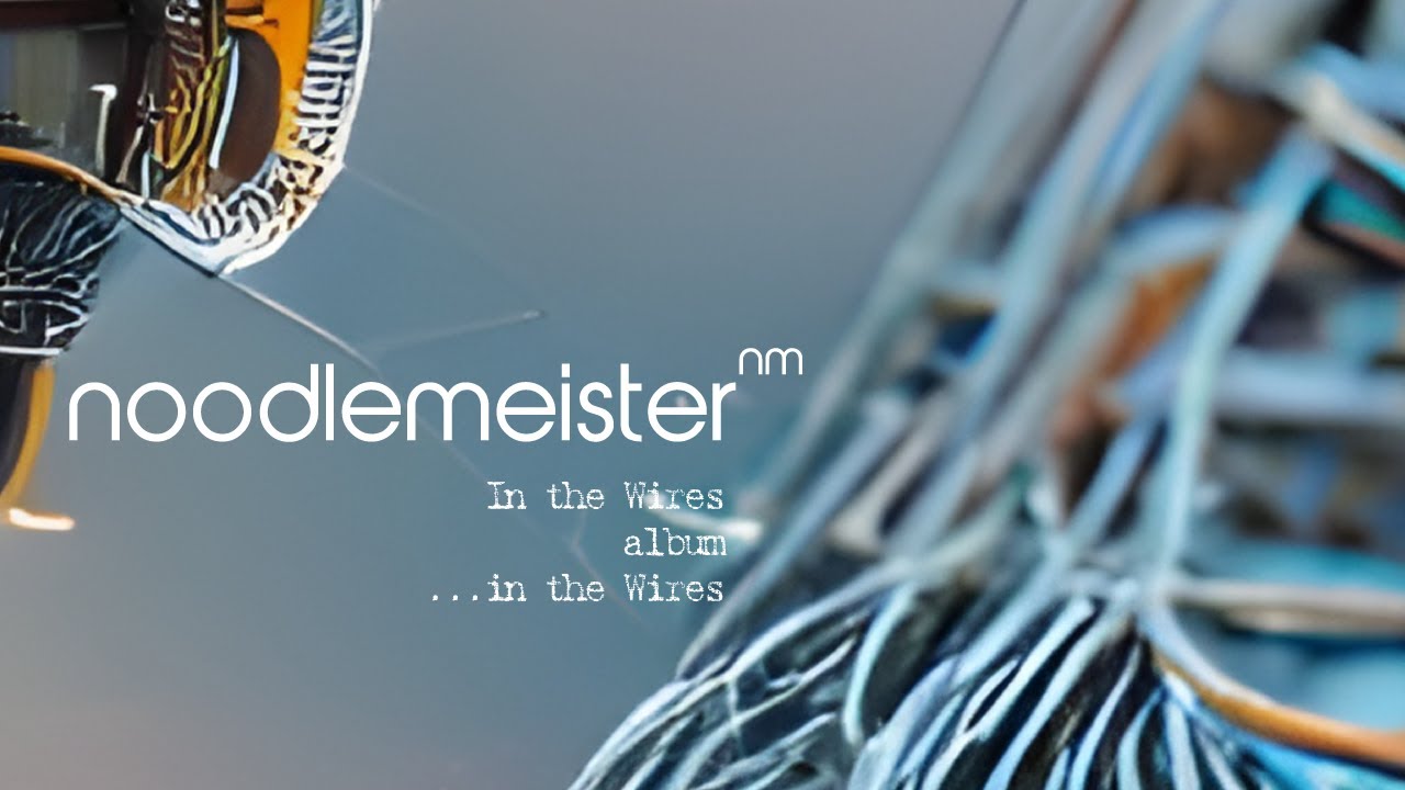 noodlemeister - In the wires
