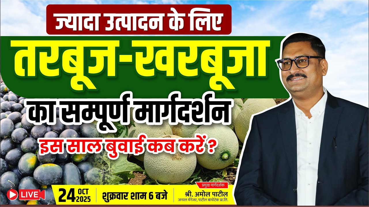 तरबूज-खरबूजा का सम्पूर्ण मार्गदर्शन इस साल बुवाई कब करें ? l Tarabooj-kharabooja ki sampoorn jankari