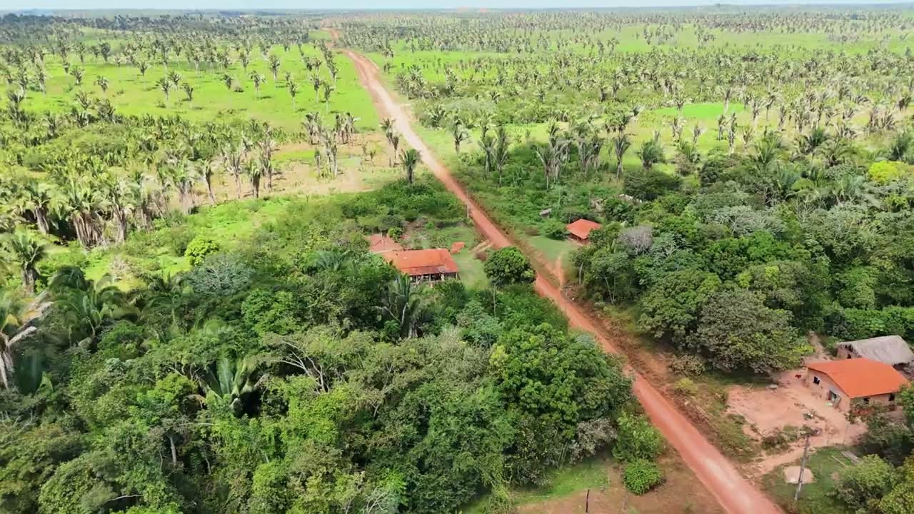 Fazenda Nova Em Governador Newton Bello-MA