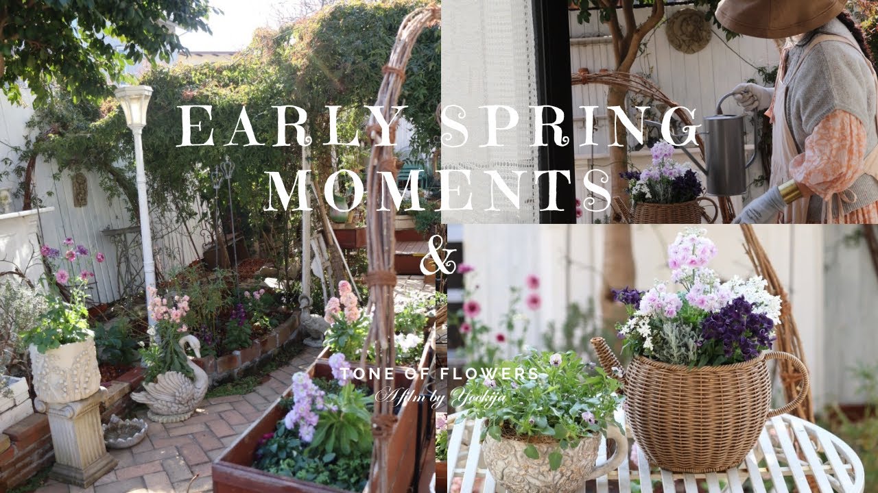 Ранний весенний садоводство | Весенний контейнер в стиле букета | Садовый совет🌸