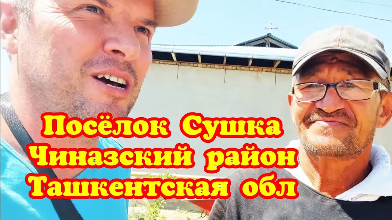 Поселок Сушка Чиназский район Ташкентская область  ишак араба