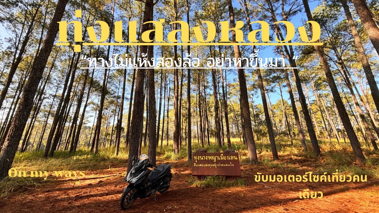 On my ways[ขับมอเตอร์เที่ยว คนเดียว] อุทยานแห่งชาติทุ่งแสลงหลวง(ฝั่งหนองแม่นา)ใครชอบความสงบต้องลาน B