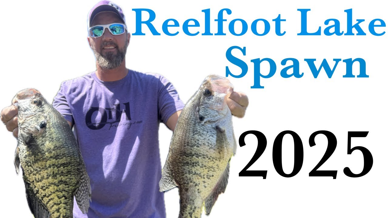 How to catch spawning crappie