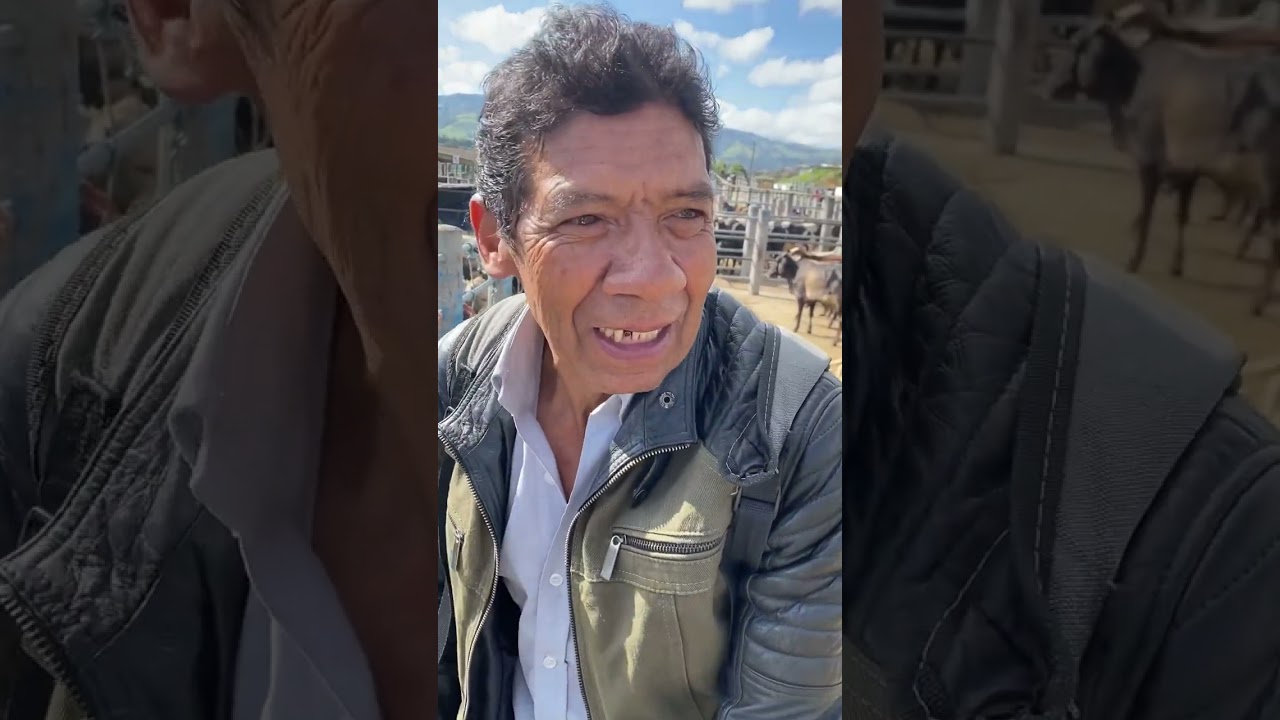 Comparado ganado con Gumercindo y Don Jose
