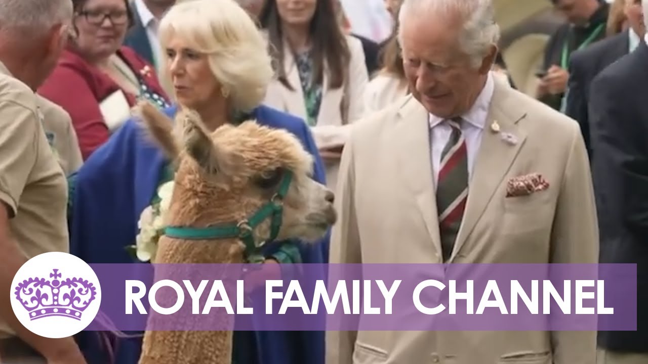 The Royal Family LOVE Animals! The Best Moments of the Last Year 🐶