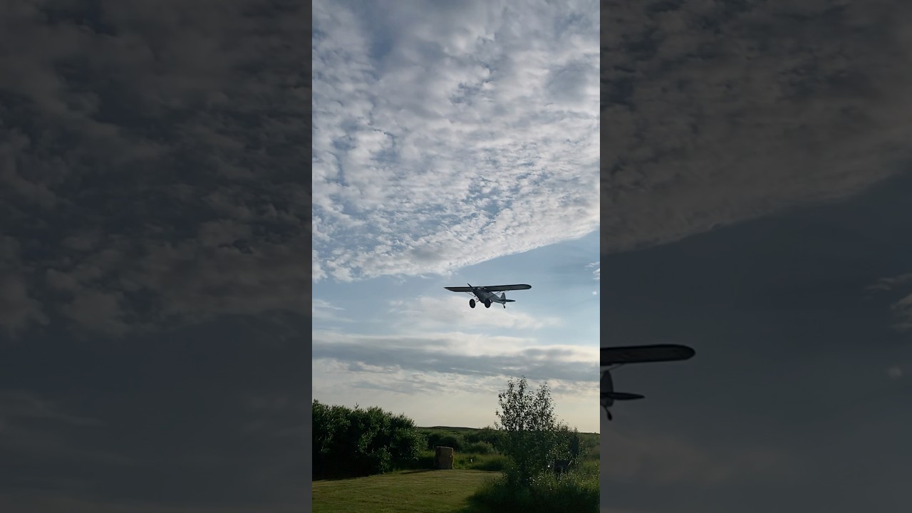 perfect side shot of a super cub flying over. 