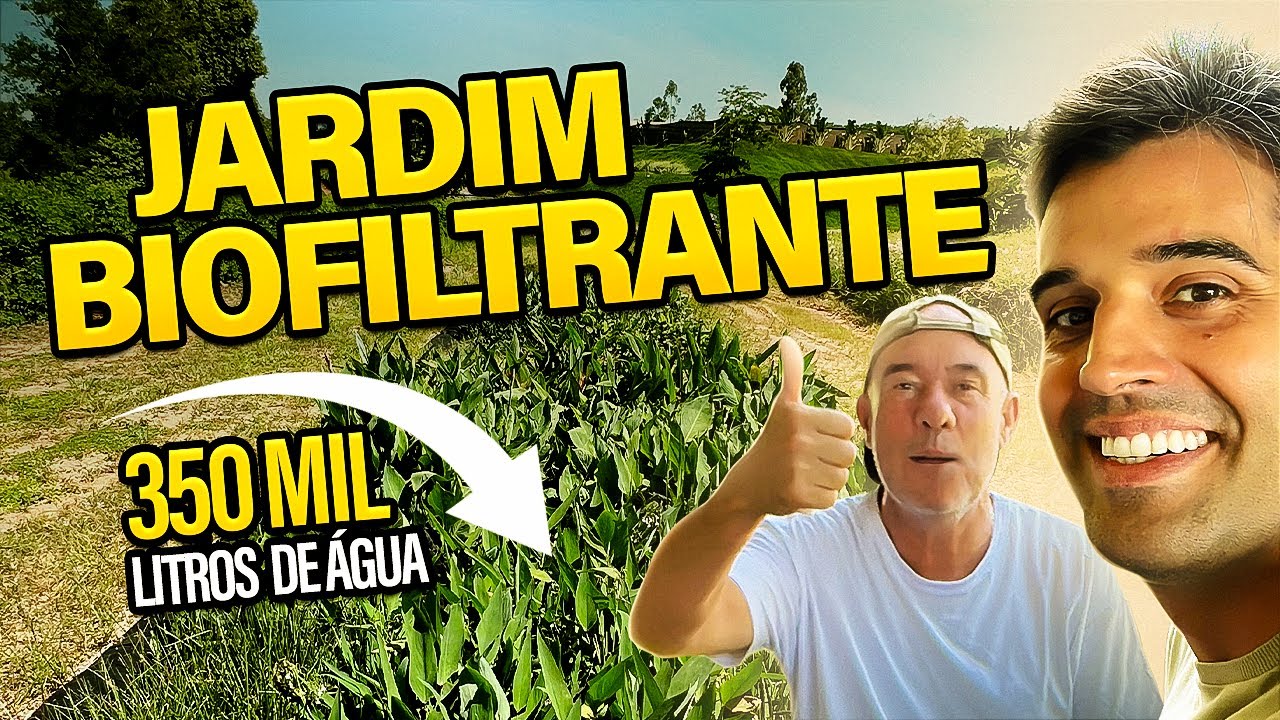 TUDO SOBRE JARDIM BIOFILTRANTE ( WETLAND ) - Veja na prática como TRATAR ESGOTO COM PLANTAS!