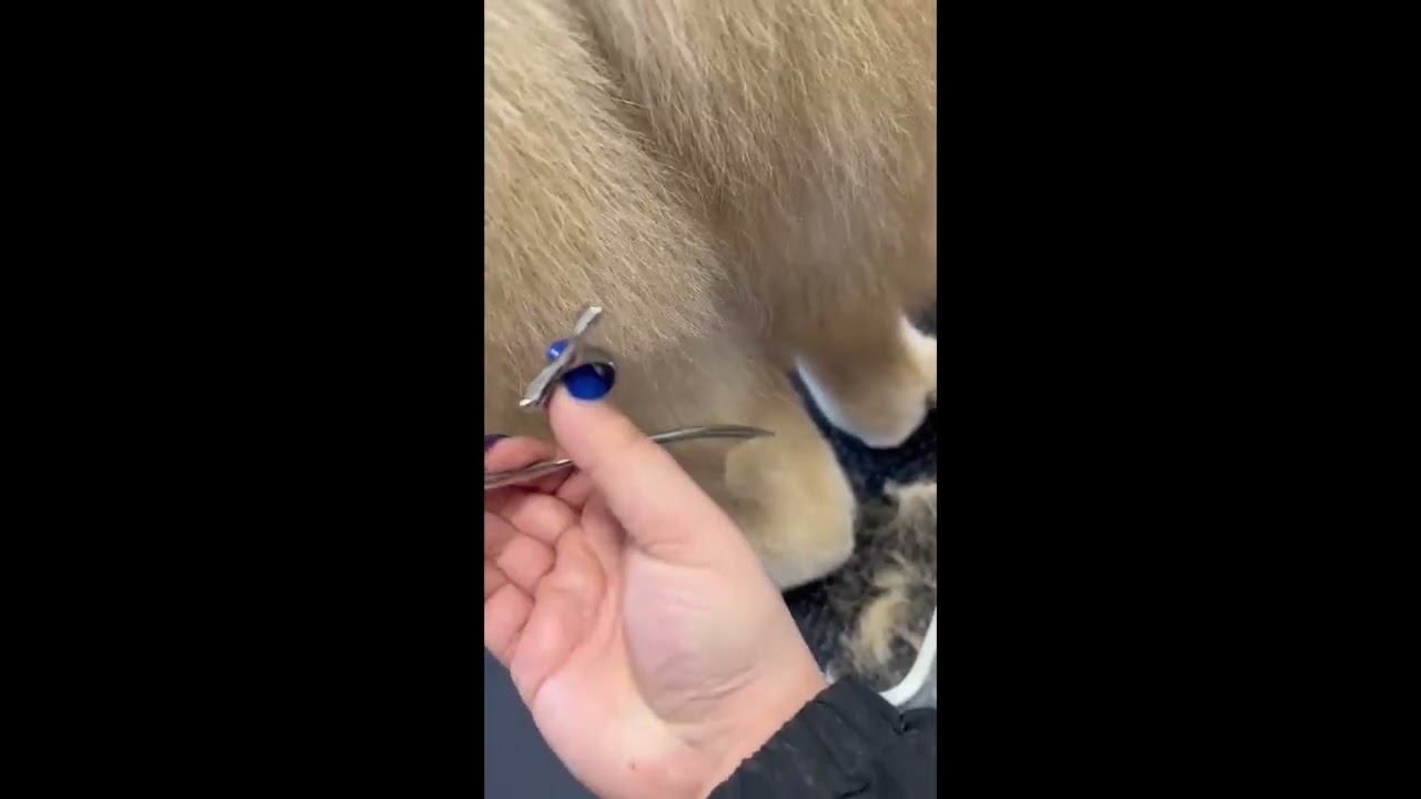 De Luxe  Curved Chunkers Slo mo