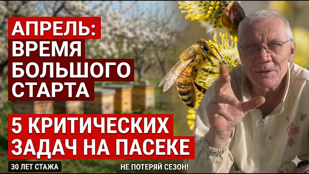 Апрель решает всё! Обязательный план работ пчеловода!