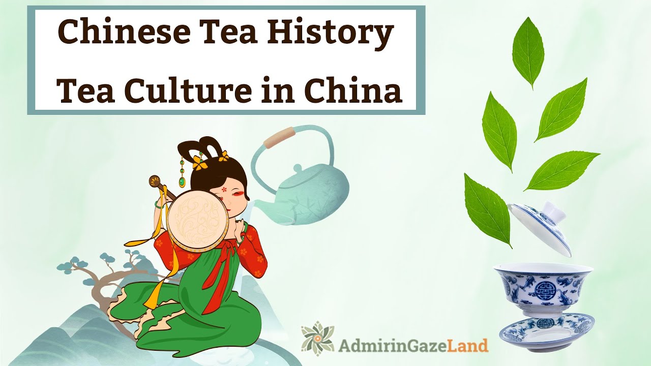 Chinese Tea History History of the Tea Tea Culture in China