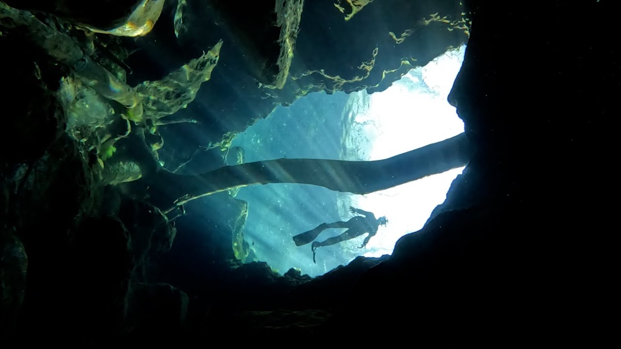 Hidden Below - Freediving Florida's Untouched Springs!
