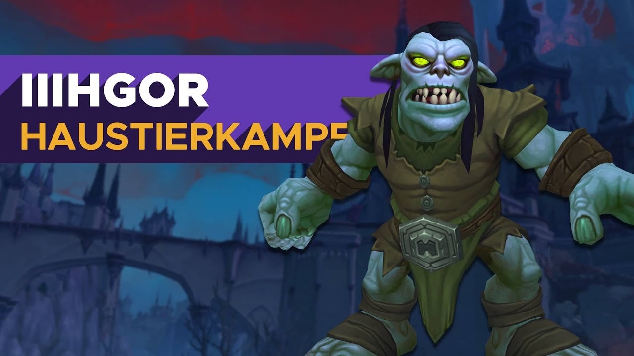 Iiihgor 🐾 -  Haustierkampf Guide [WoW]