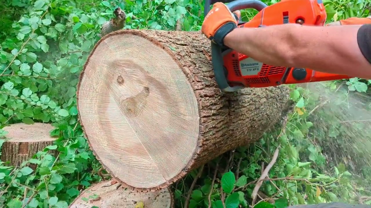 HUSQVARNA 572XPG + STIHL light bar: Bucking or Crosscutting?