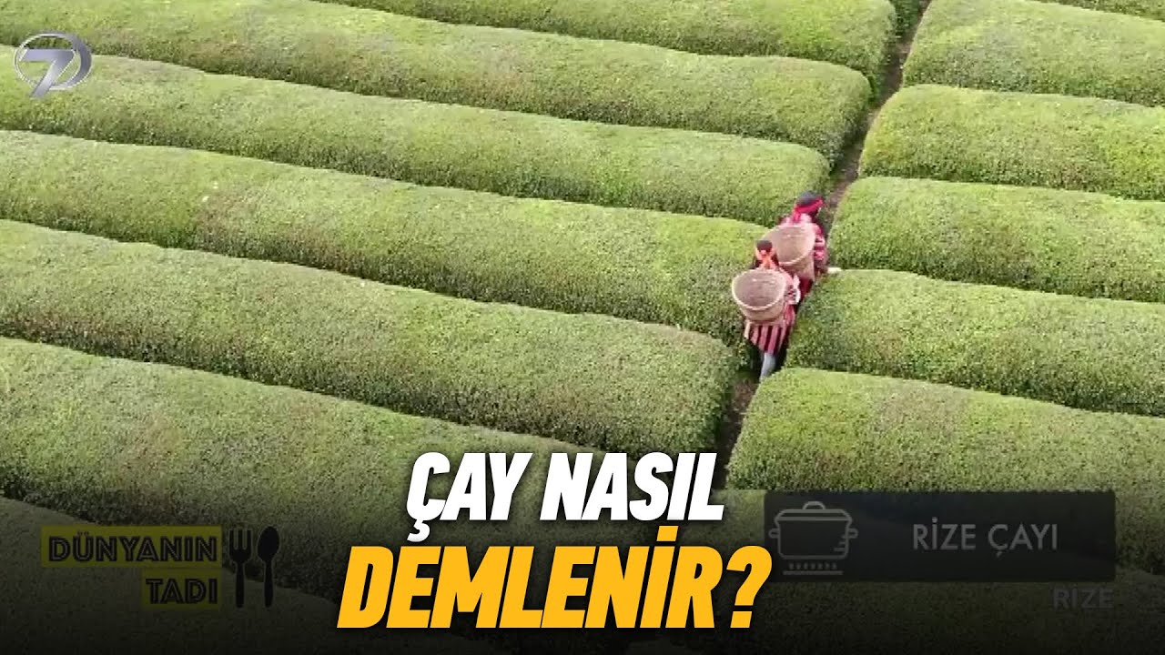 Çay Nasıl Demlenir Yerinde Öğreniyoruz | Dünyanın Tadı Rize