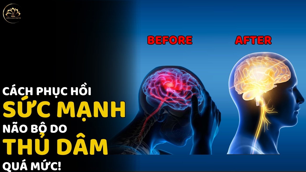 Ảnh Hưởng Của Thủ Dâm Lên Não Và Cách Phục Hồi Sức Mạnh Tâm Trí