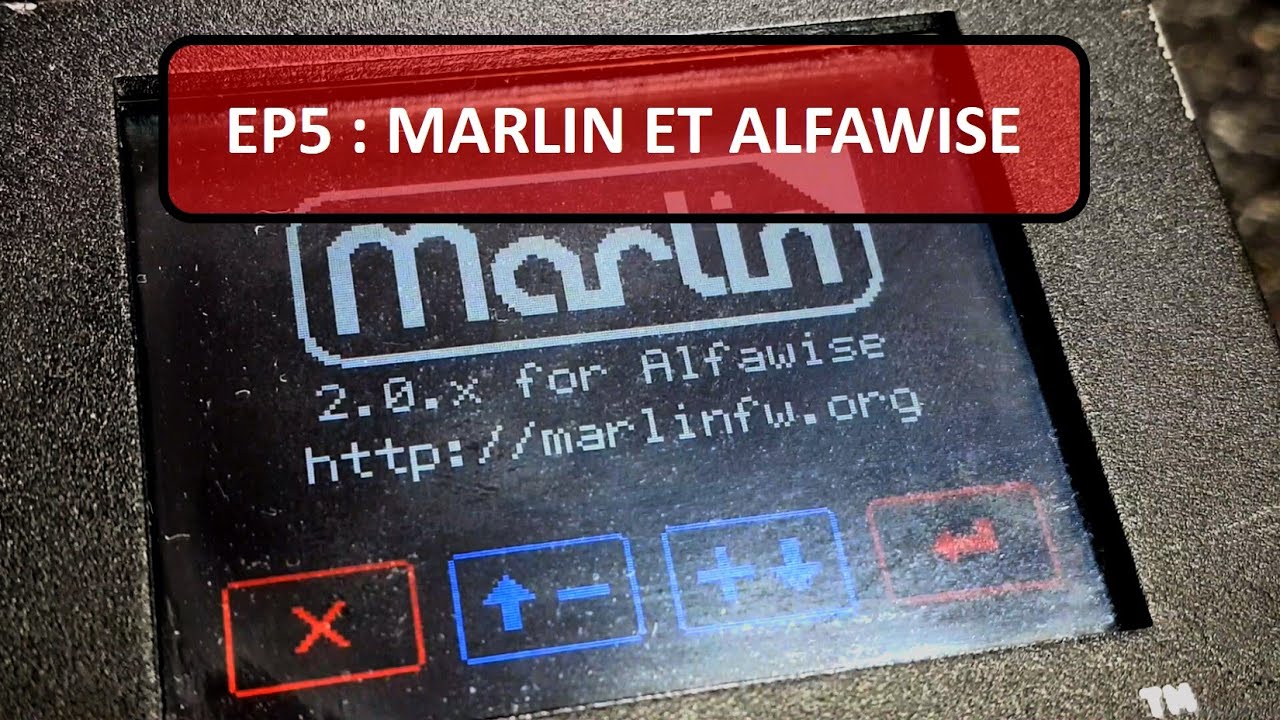 MARLIN et ALFAWISE #23 #ALFAWISE #MARLIN