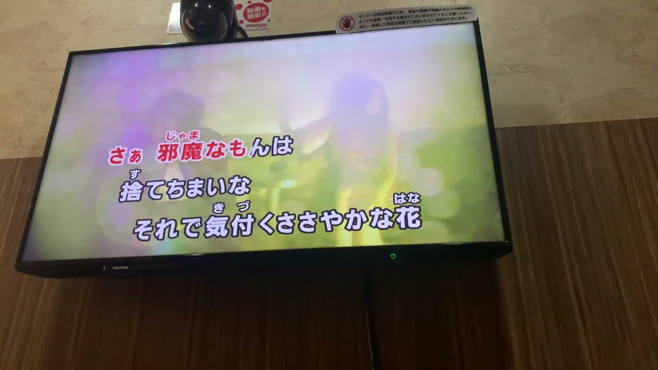 【Diggy-MO'】わっしゅるっどぅ【STAY BEAUTIFUL】