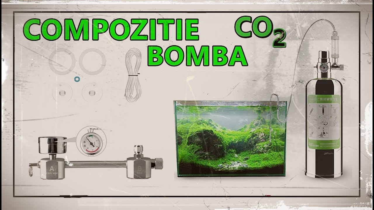 CUM SA FACEM UN SISTEM CO2 PENTRU ACVARIU