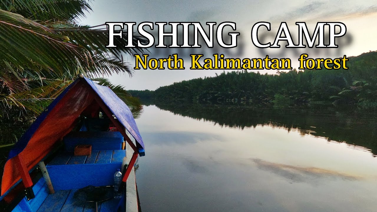 EXPLORE SUNGAI KALIMANTAN UTARA MENCARI MONSTER BLACKBASS || FISHING CAMP PART 1.