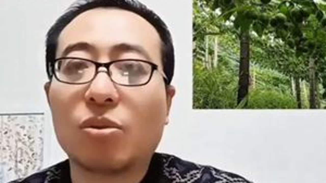自己学会做出优质的发酵水肥才是王道#自制水肥 #发酵水肥 #水肥发酵 #农业种植 #三农