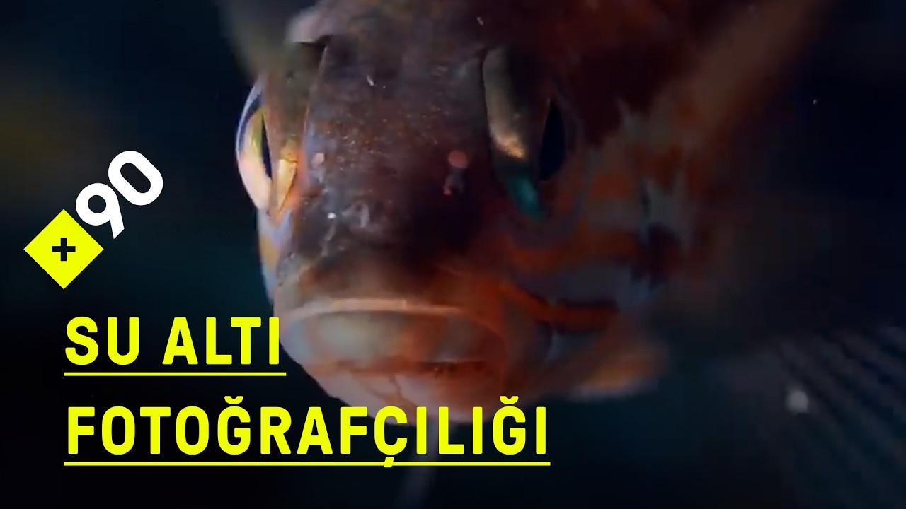 Su altı fotoğraf&ccedil;ılığı nedir?