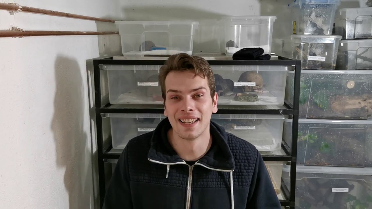 Miminka Tejů jsou tu !!!!! Momentálně jediný odchov v celé ČR !!!!!