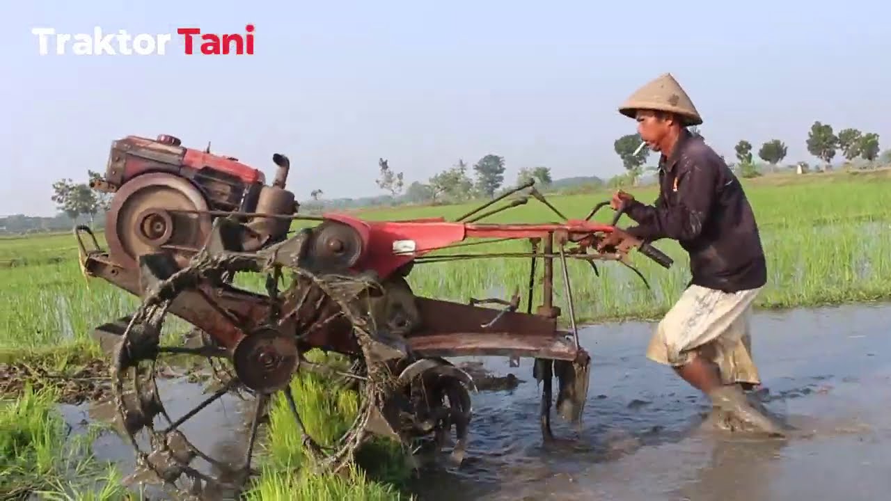 TRAKTOR SAWAH ROTARY TURUN SENDIRI MEMBAJAK LAHAN