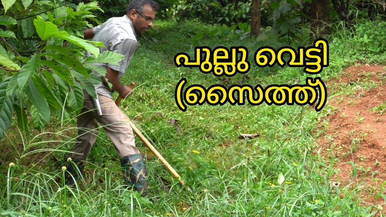വികാല്പ് പുല്ല് വെട്ടി (സൈത്ത്) / Vikalp pullu vetti (scythe)