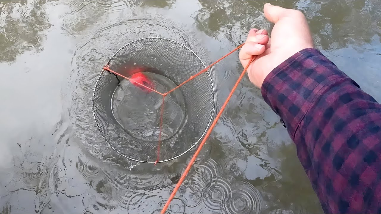 Fishing And Yabbying In Yanco Creek