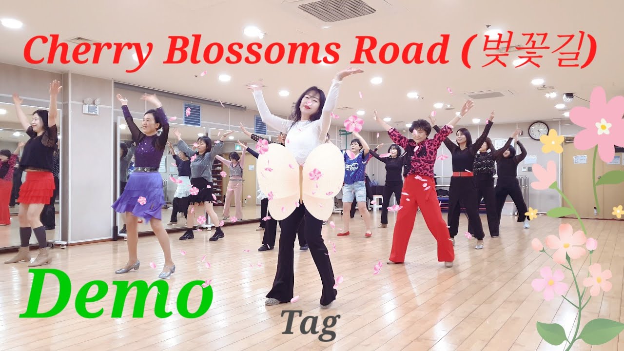 Cherry Blossoms  Road (벚꽃길) Linedance /Beginner /Demo /벚꽃만개경주여행가자~